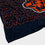 Pegasus Sports NFL Echo Team Wordmark Plush Blanket- Chicago Bears, Team Color, 60x70 - Sports Gifts, Sports Memorabilia, Sports Collectibles, Fan Shop