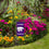 College Flags & Banners Co. Kansas State Wildcats Mini Garden and Flower Pot Flag Topper - Sports Gifts, Sports Memorabilia, Sports Collectibles, Fan Shop