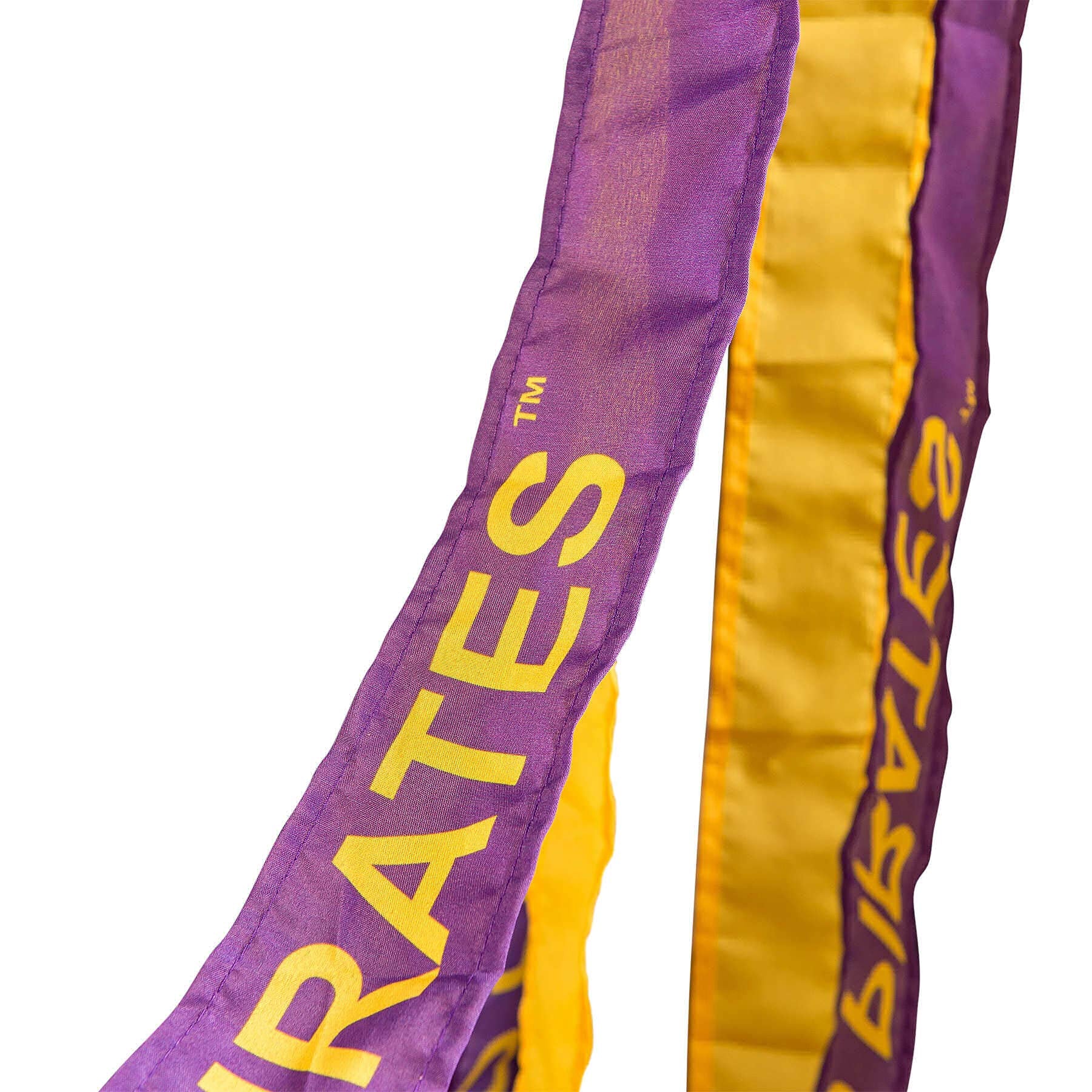College Flags & Banners Co. East Carolina Pirates Windsock - Sports Collectibles, Sports Memorabilia, Sports Fan Shop, Sports Gifts