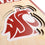 YouTheFan NCAA Washington State Cougars 3D Stadium 8x32 Banner - Martin Stadium - Sports Collectibles, Sports Memorabilia, Sports Fan Shop, Sports Gifts
