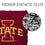 YouTheFan NCAA Iowa State Cyclones Cornhole Bags - 4PK - Maroon - Sports Collectibles, Sports Memorabilia, Sports Fan Shop, Sports Gifts