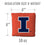 YouTheFan NCAA Illinois Fighting Illini Cornhole Bags - 4PK - Orange - Sports Collectibles, Sports Memorabilia, Sports Fan Shop, Sports Gifts