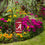 College Flags & Banners Co. Alabama Crimson Tide Mini Garden and Flower Pot Flag Topper - Sports Collectibles, Sports Memorabilia, Sports Fan Shop, Sports Gifts