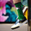 For Bare Feet NCAA NORTH DAKOTA FIGHTING HAWKS MVP Crew Sock Team Color Large - Sports Gifts, Sports Memorabilia, Sports Collectibles, Fan Shop