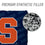 YouTheFan NCAA Syracuse Orange Cornhole Bags - 4PK - Blue - Sports Collectibles, Sports Memorabilia, Sports Fan Shop, Sports Gifts