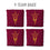 YouTheFan NCAA Arizona State Sun Devils Cornhole Bags - 4PK - Maroon - Sports Collectibles, Sports Memorabilia, Sports Fan Shop, Sports Gifts