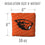 YouTheFan NCAA Oregon State Beavers Cornhole Bags - 4PK - Orange - Sports Collectibles, Sports Memorabilia, Sports Fan Shop, Sports Gifts