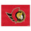NHL - Ottawa Senators All-Star Mat