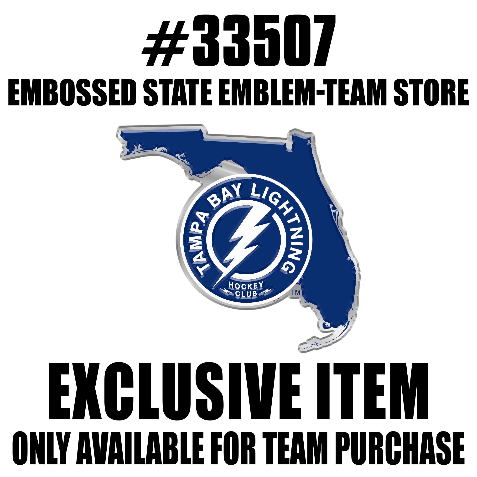 NHL - Tampa Bay Lightning Embossed State Emblem