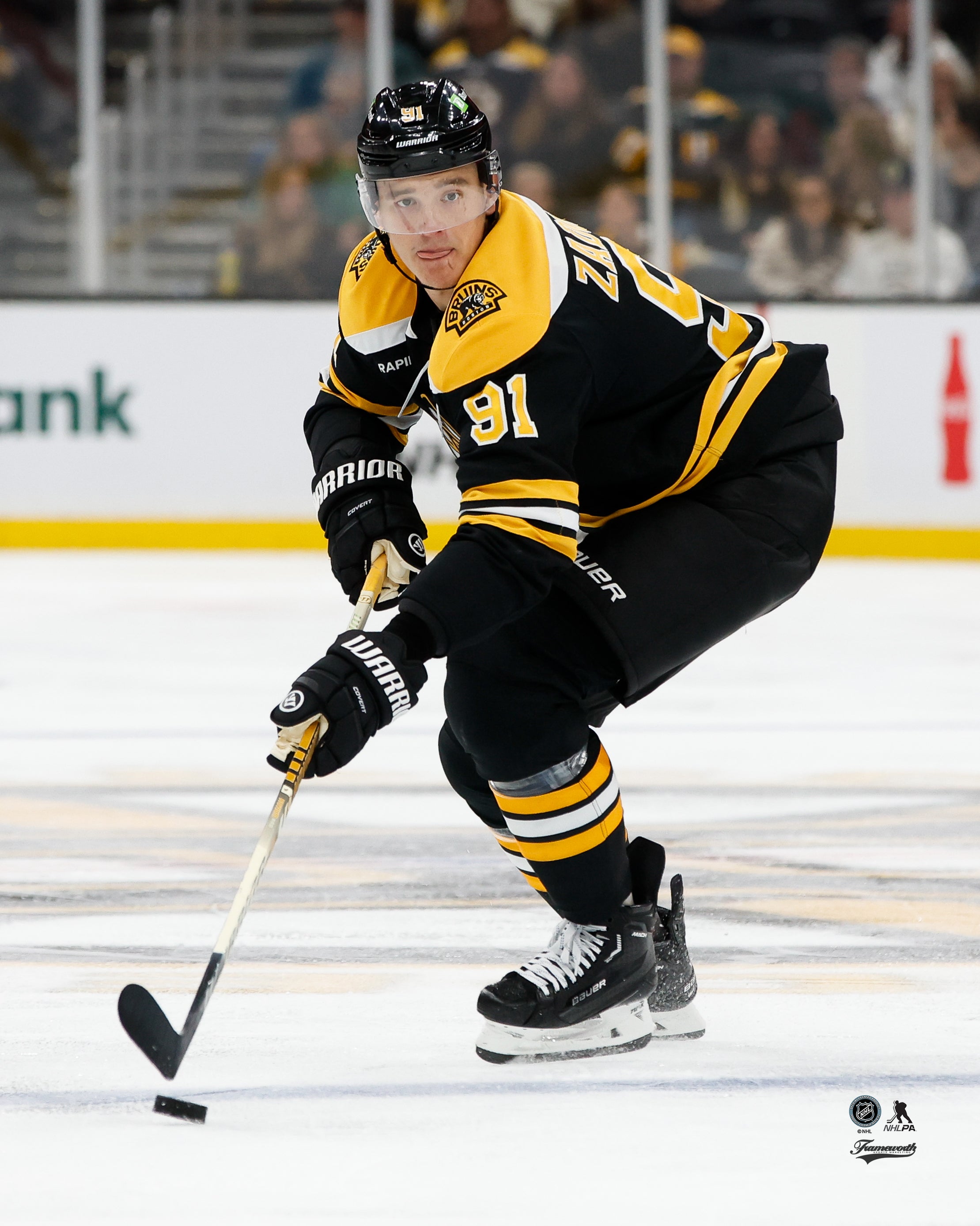 Nikita Zadorov in Action Boston Bruins Hockey Photo - Sports Collectibles, Sports Memorabilia, Sports Fan Shop, Sports Gifts