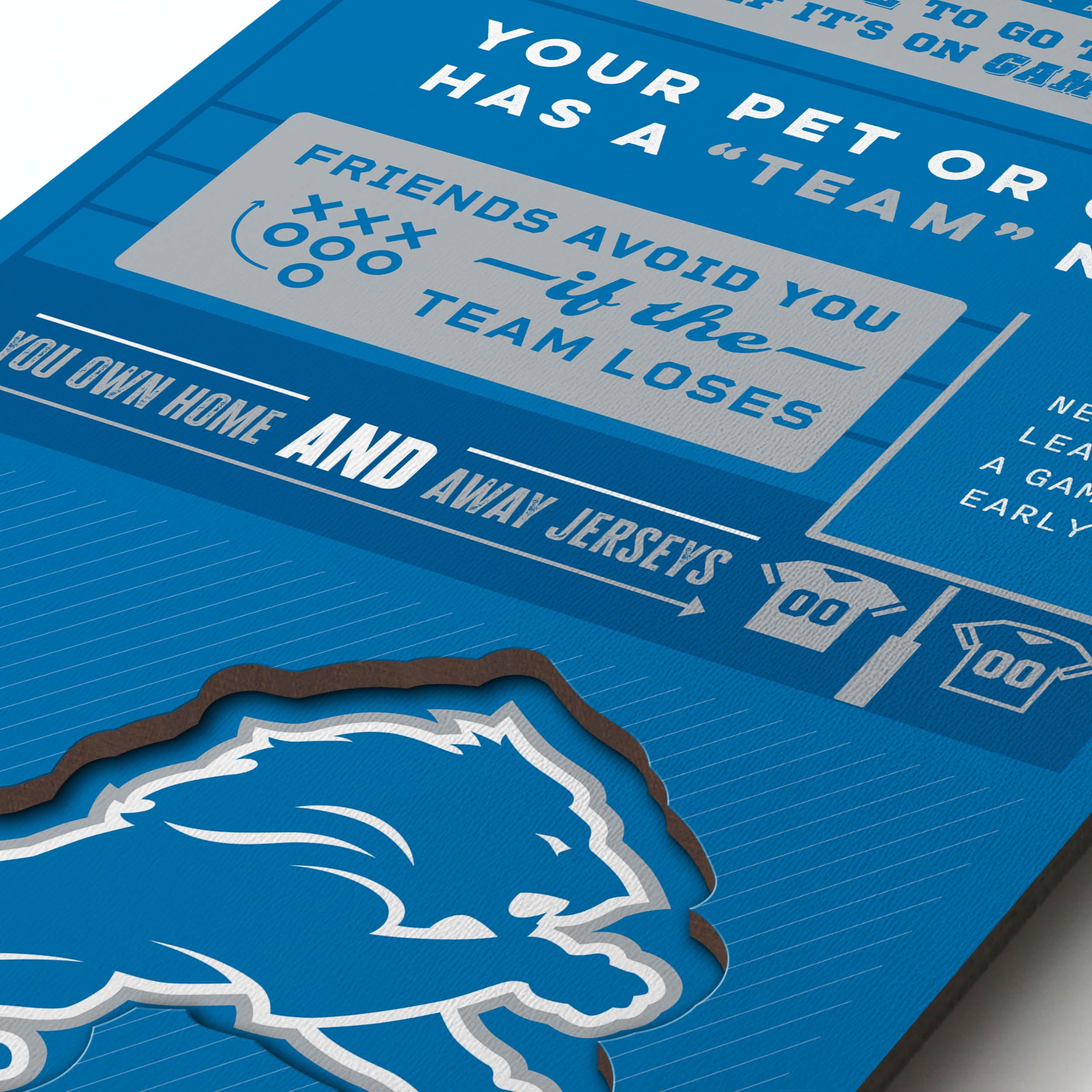 YouTheFan Officially-licensed NFL Detroit Lions 6x19 Top 10 Signs Banner - humorous descriptions - fun sports fan phrases, original design, indoor team wall decor fan gift - Sports Collectibles, Sports Memorabilia, Sports Fan Shop, Sports Gifts