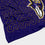 Pegasus Sports NFL Echo Team Wordmark Plush Blanket- Baltimore Ravens Team Color 60x70 - Sports Gifts, Sports Memorabilia, Sports Collectibles, Fan Shop