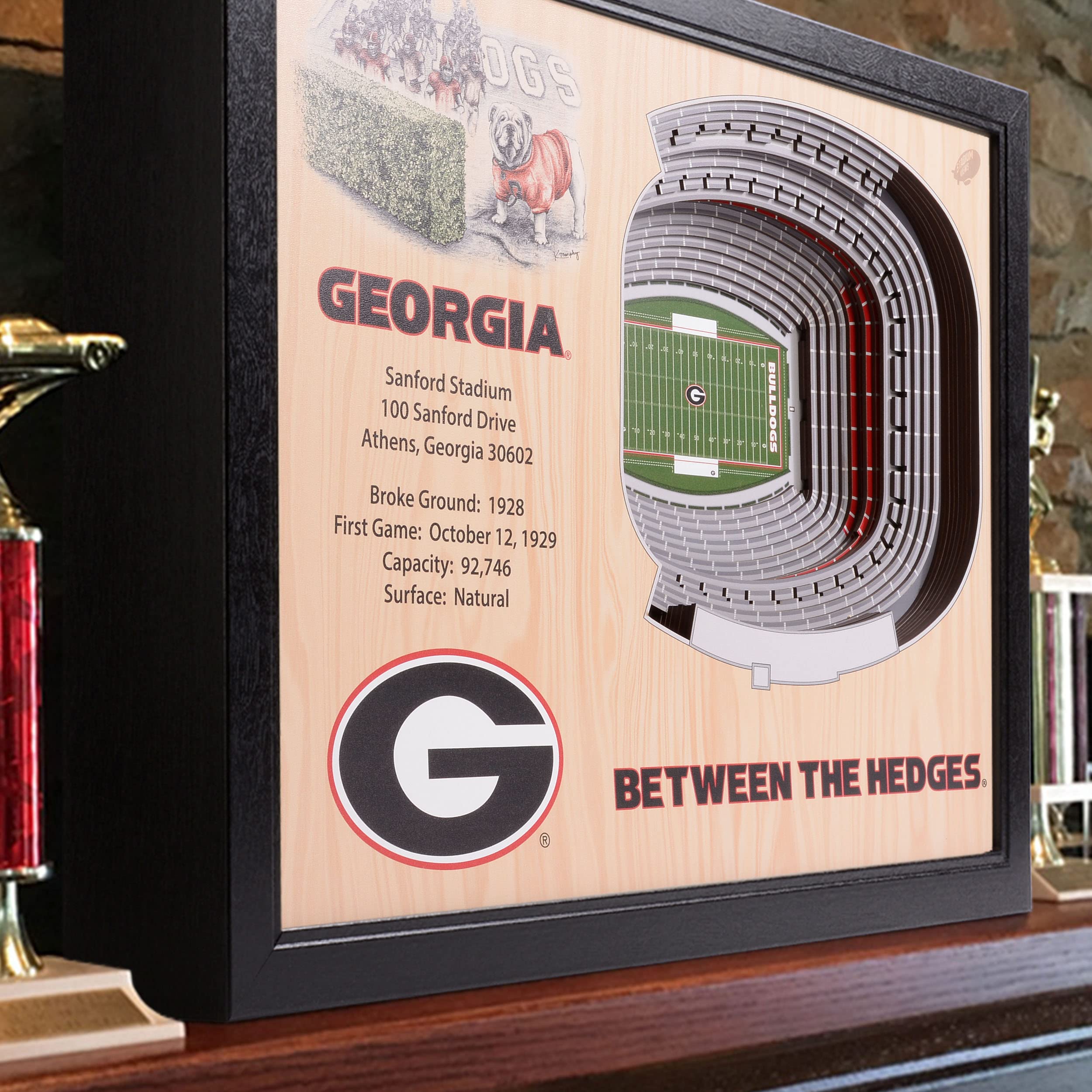 NCAA Georgia Bulldogs 25-Layer StadiumView 3D Wall Art, YouTheFan , 25.5 x 3.5 x 19.5 Inches,Brown - Sports Collectibles, Sports Memorabilia, Sports Fan Shop, Sports Gifts
