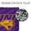 YouTheFan NCAA Northern Iowa Panthers Cornhole Bags - 4PK - Purple - Sports Collectibles, Sports Memorabilia, Sports Fan Shop, Sports Gifts