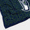 Pegasus Sports NFL Echo Team Wordmark Plush Blanket- Seattle Seahawks, Team Color, 60x70 - Sports Gifts, Sports Memorabilia, Sports Collectibles, Fan Shop