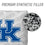 YouTheFan NCAA Kentucky Wildcats - Cornhole Bags - 4PK - White - Sports Collectibles, Sports Memorabilia, Sports Fan Shop, Sports Gifts