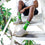 For Bare Feet NFL Youth 4 Stripe Deuce Crew Sock, Seattle Seahawks, One Size - Sports Gifts, Sports Memorabilia, Sports Collectibles, Fan Shop