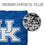 YouTheFan NCAA Kentucky Wildcats - Cornhole Bags - 4PK - Blue - Sports Collectibles, Sports Memorabilia, Sports Fan Shop, Sports Gifts