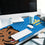 YouTheFan NCAA UCLA Bruins Logo Series Desk Pad - Sports Collectibles, Sports Memorabilia, Sports Fan Shop, Sports Gifts
