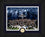 Tampa Bay Rays 2026 AL Champions Celebration Bronze Coin Photo Mint