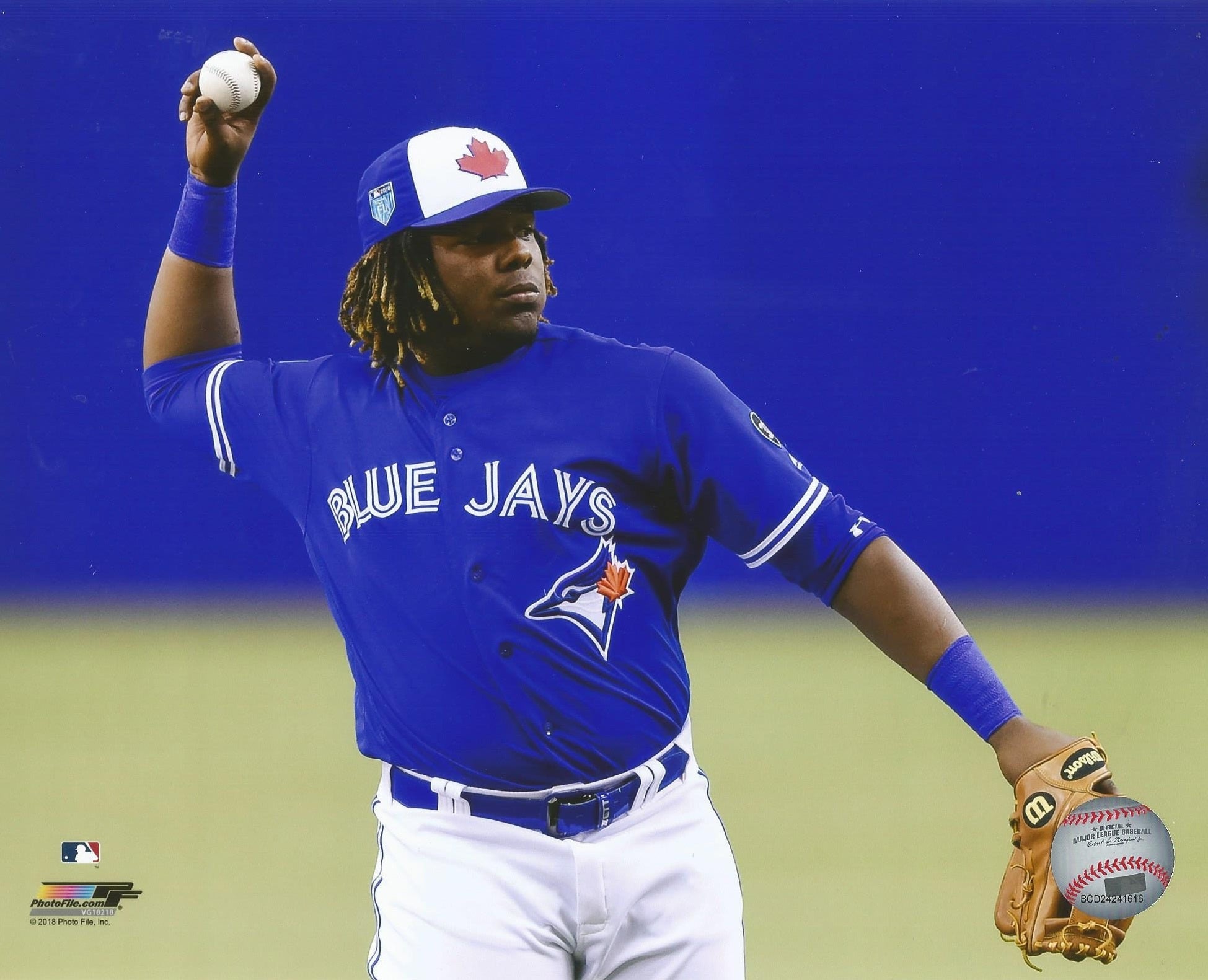 Vladimir Guerrero, Jr. Toronto Blue Jays Fielding Baseball Photo - Sports Collectibles, Sports Memorabilia, Sports Fan Shop, Sports Gifts