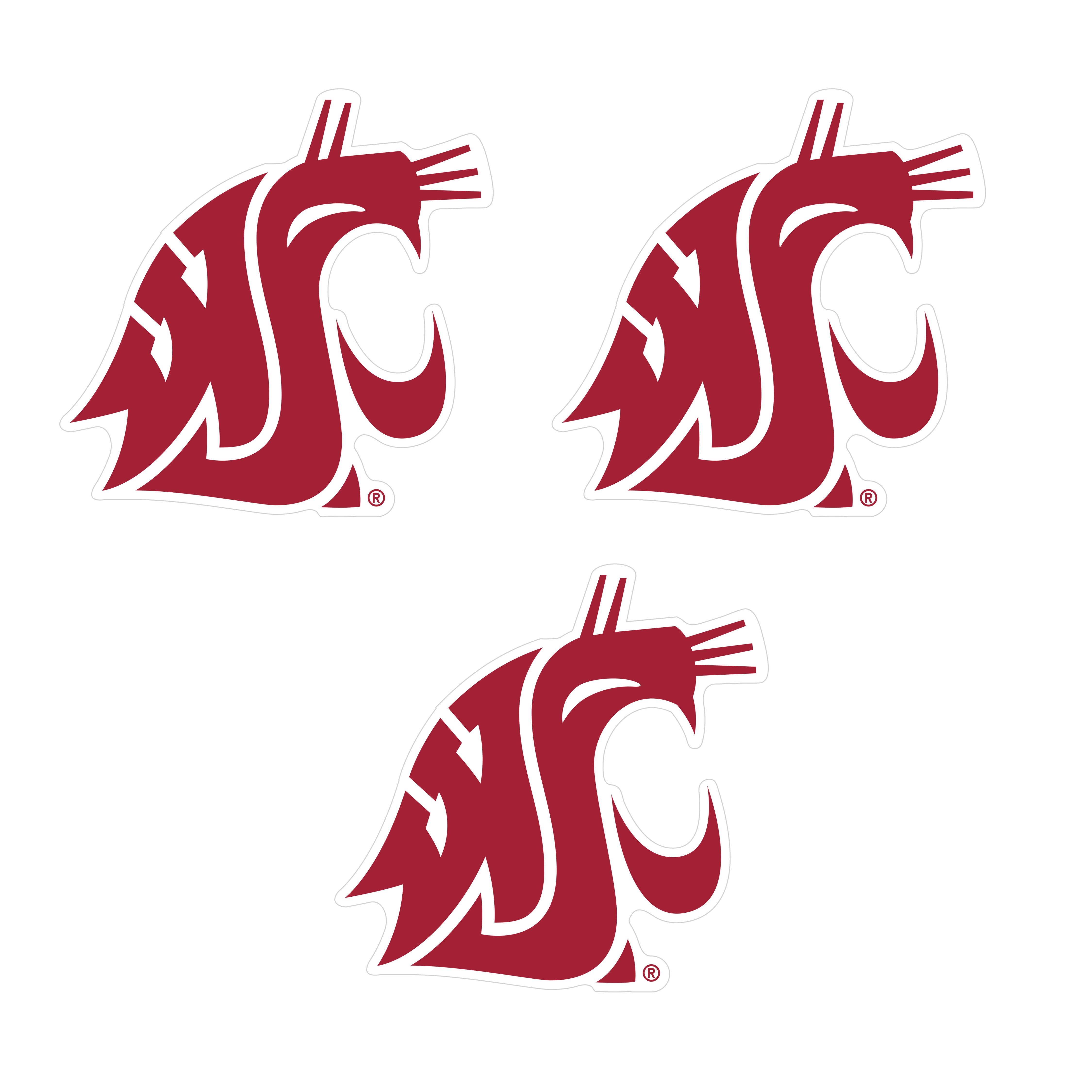 Washington St. Cougars Auto Decal 3 Pack