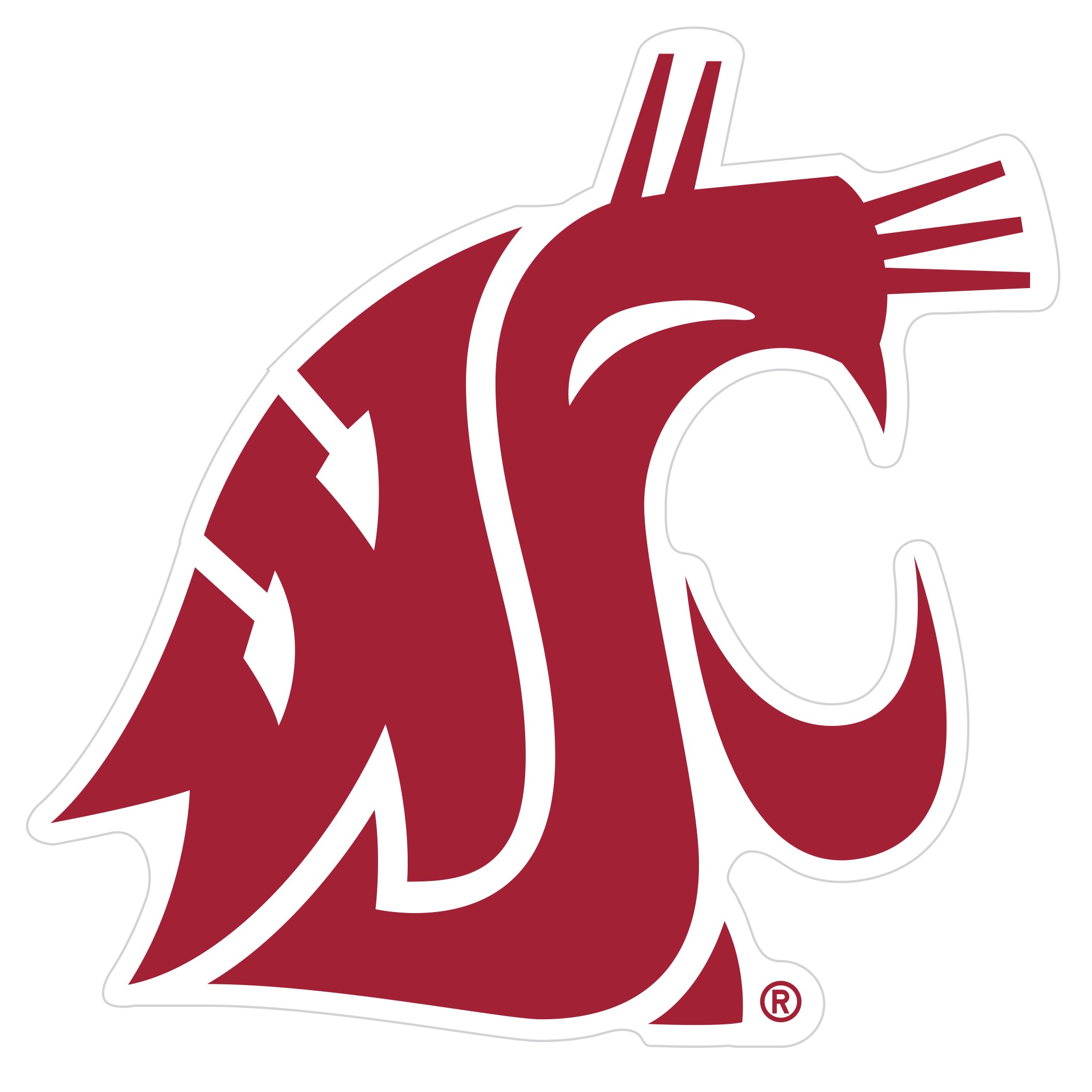 Washington St. Cougars 8 inch Auto Decal
