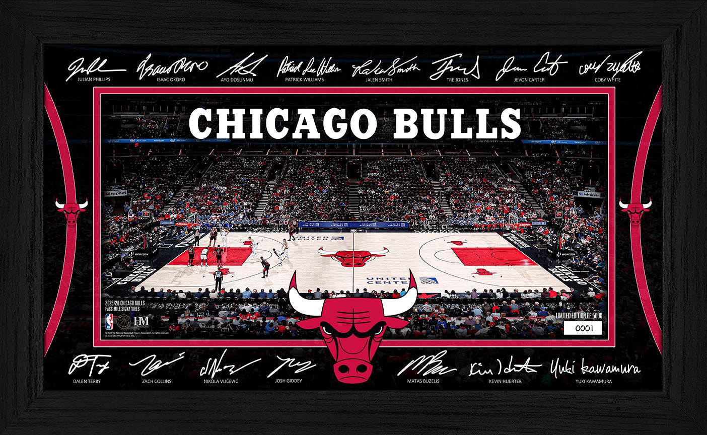 Chicago Bulls 2025 Signature Court