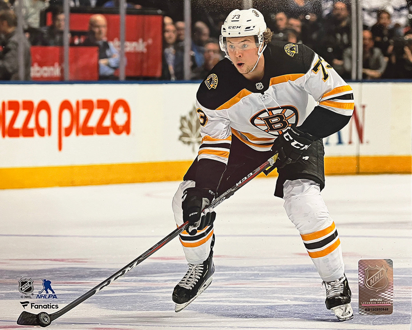 Charlie McAvoy in Action Boston Bruins 8" x 10" Horizontal Hockey Photo - Sports Collectibles, Sports Memorabilia, Sports Fan Shop, Sports Gifts