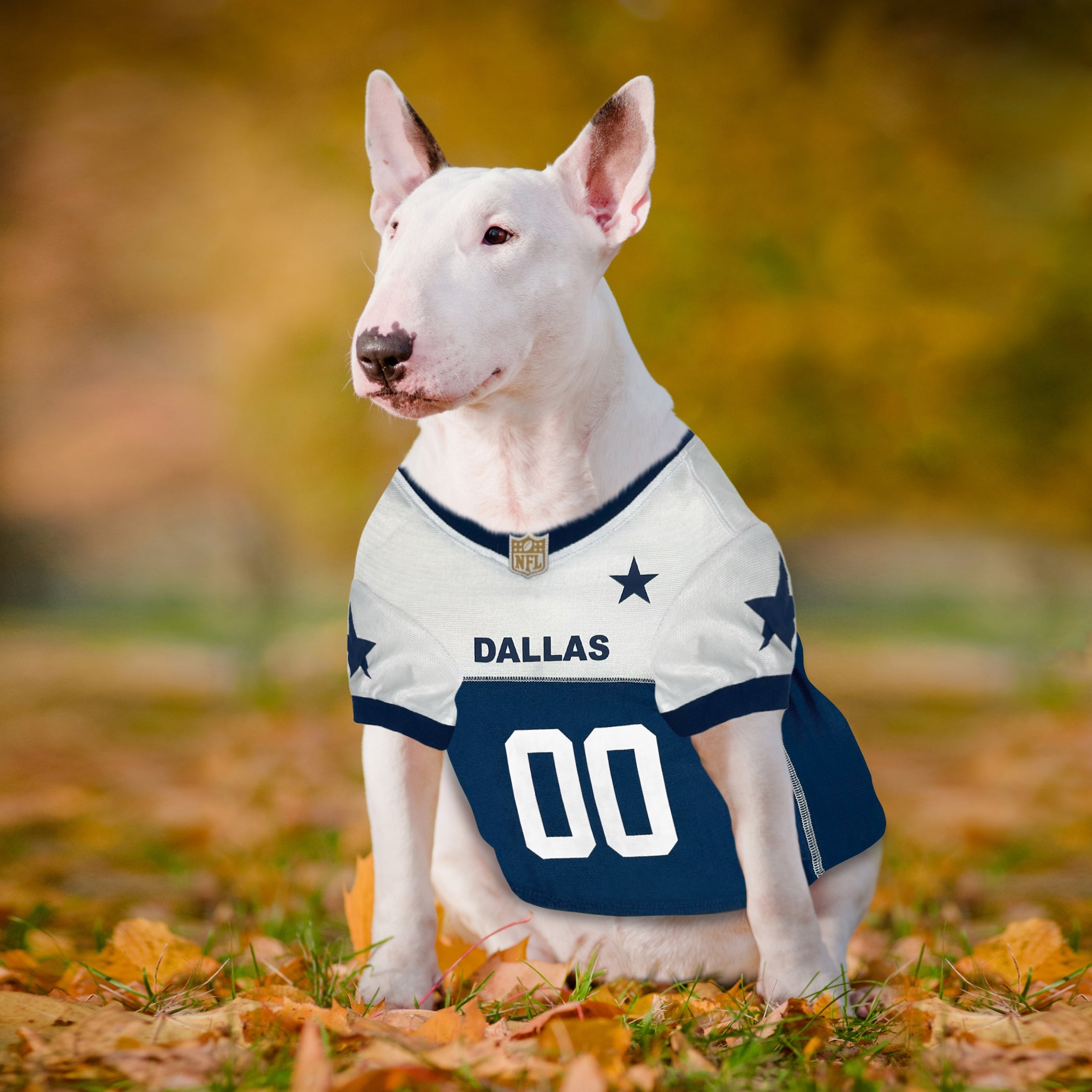 Dallas Cowboys Throwback Jersey - Sports Collectibles, Sports Memorabilia, Sports Fan Shop, Sports Gifts