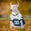 Dallas Cowboys Throwback Jersey - Sports Collectibles, Sports Memorabilia, Sports Fan Shop, Sports Gifts