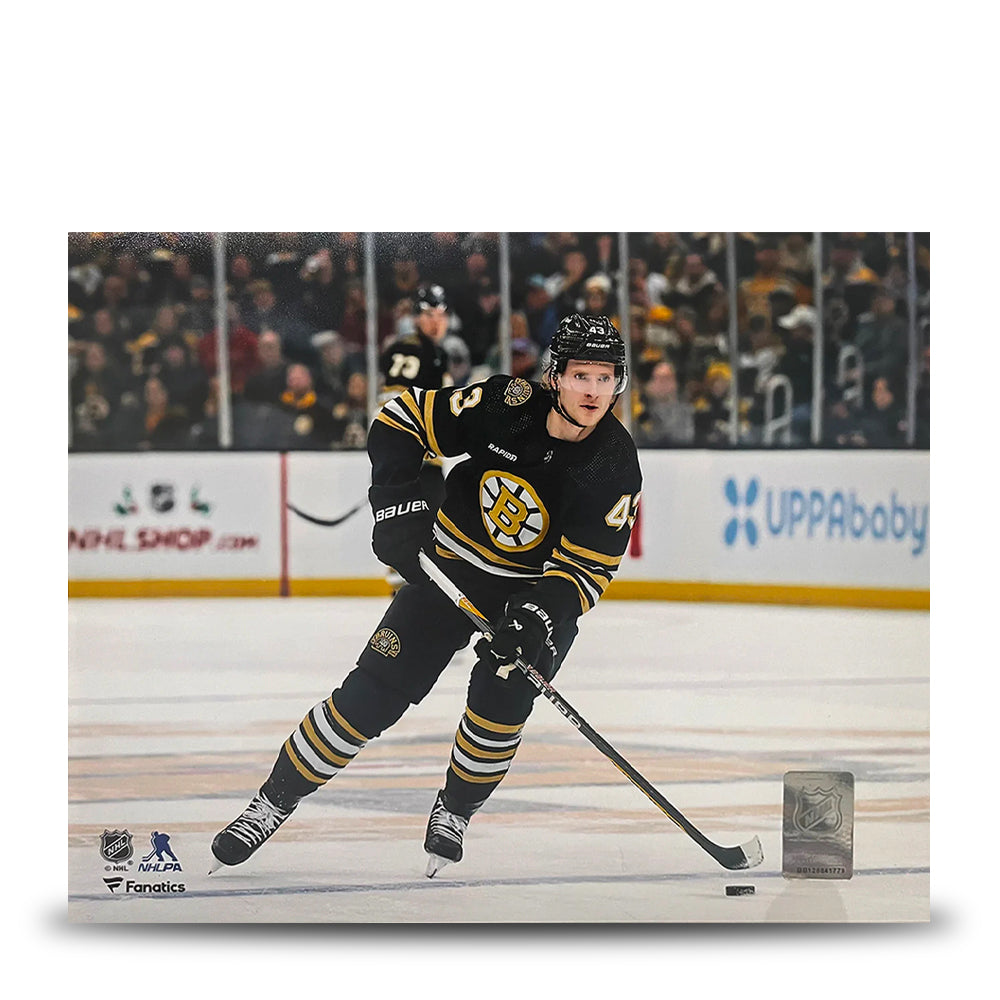 Danton Heinen in Action Boston Bruins 8" x 10" Hockey Photo - Sports Collectibles, Sports Memorabilia, Sports Fan Shop, Sports Gifts