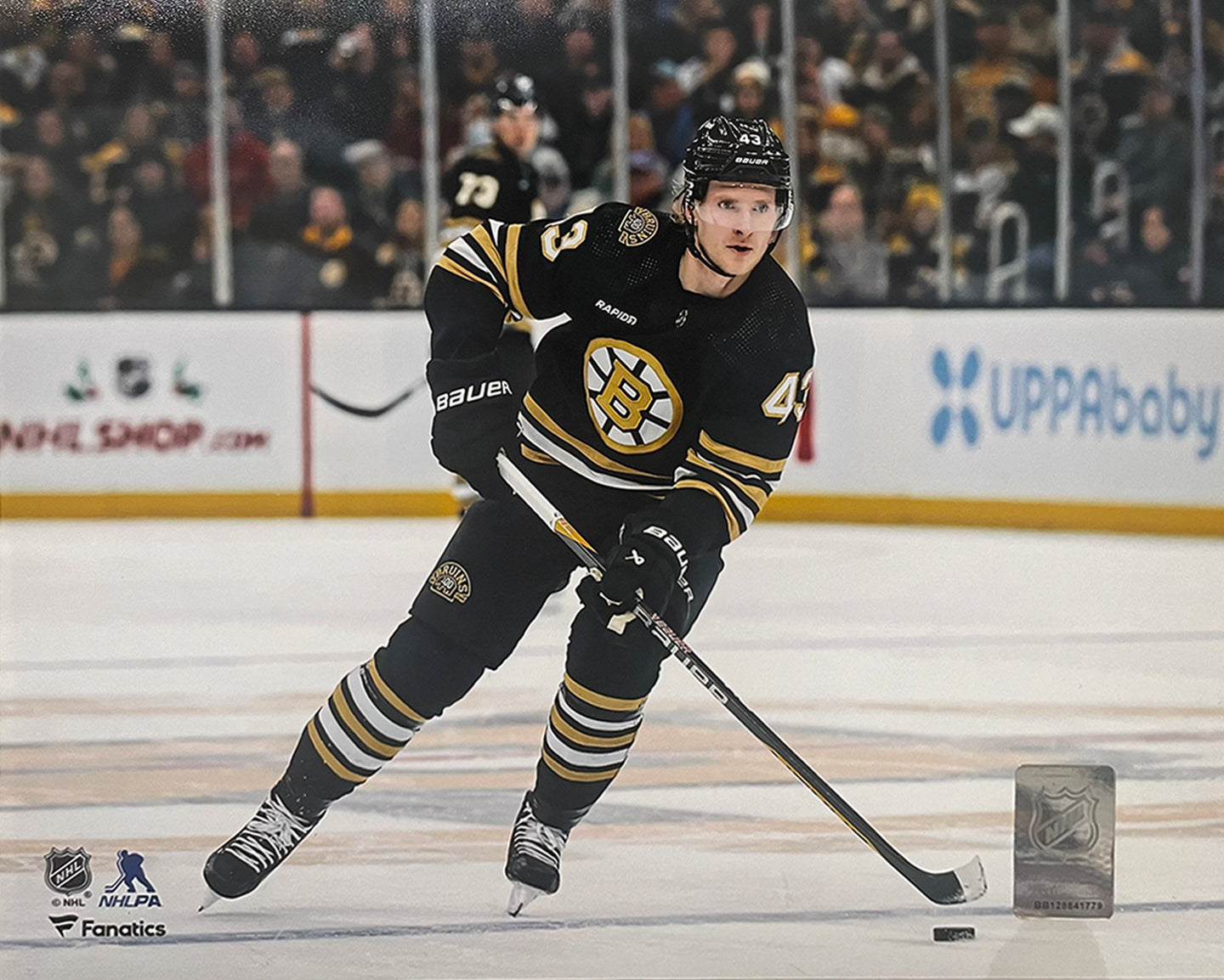 Danton Heinen in Action Boston Bruins 8" x 10" Hockey Photo - Sports Collectibles, Sports Memorabilia, Sports Fan Shop, Sports Gifts