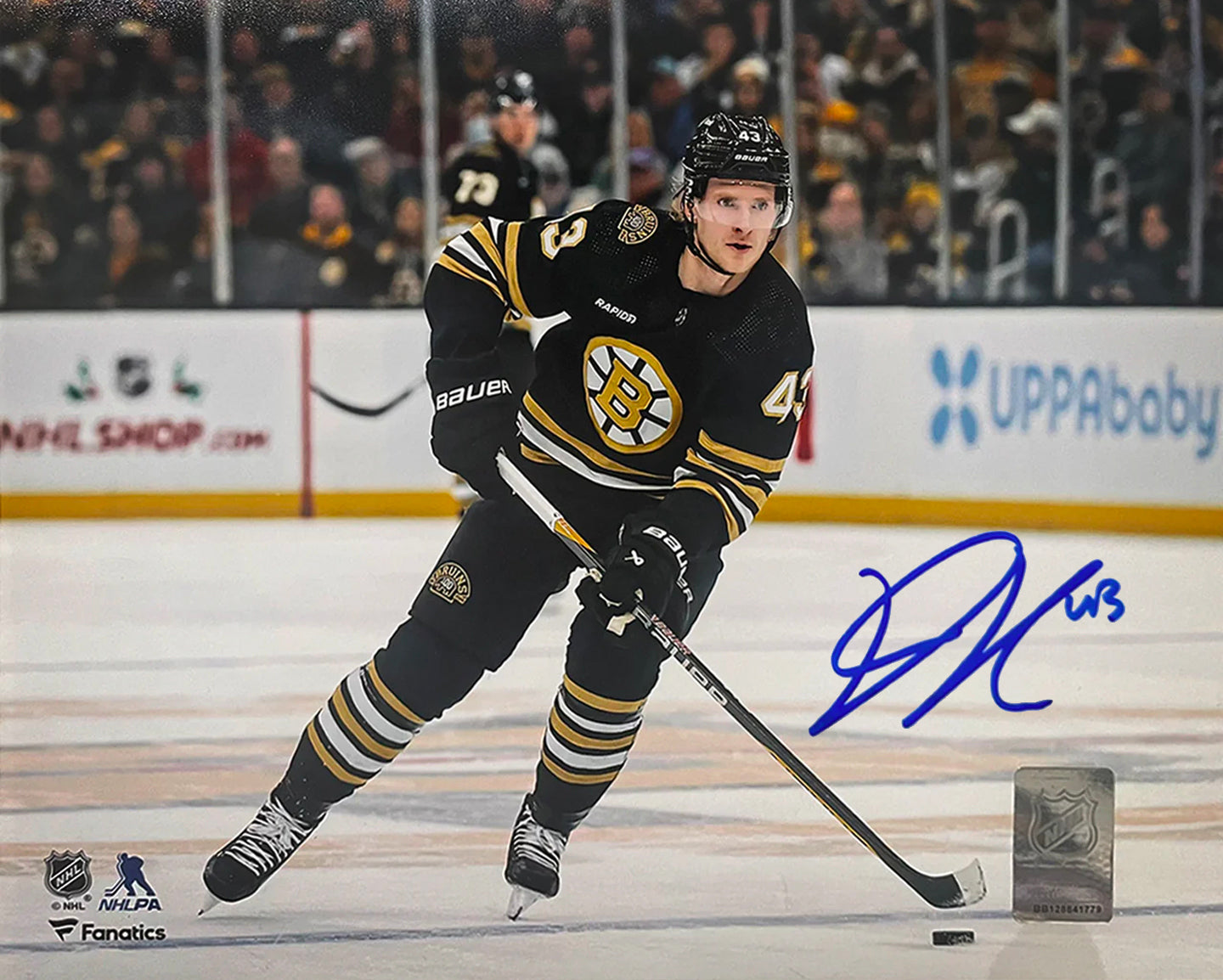 Danton Heinen in Action Boston Bruins Autographed 8" x 10" Hockey Photo - Sports Collectibles, Sports Memorabilia, Sports Fan Shop, Sports Gifts
