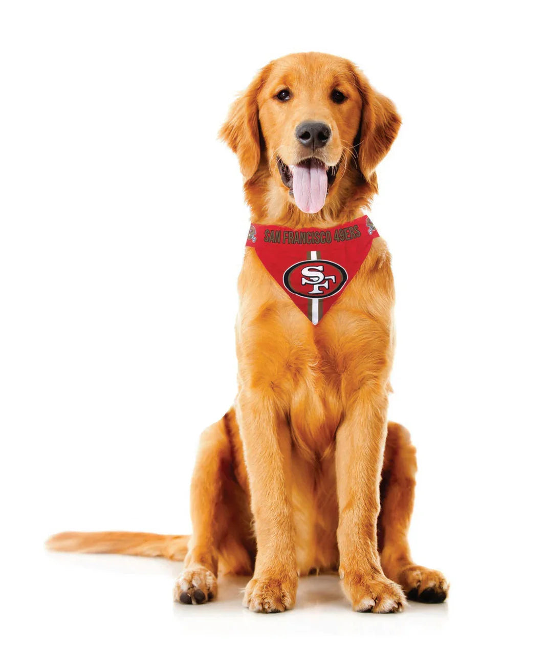 Arizona Cardinals Pet Bandanna Size XL (CDG) - 757 Sports Collectibles