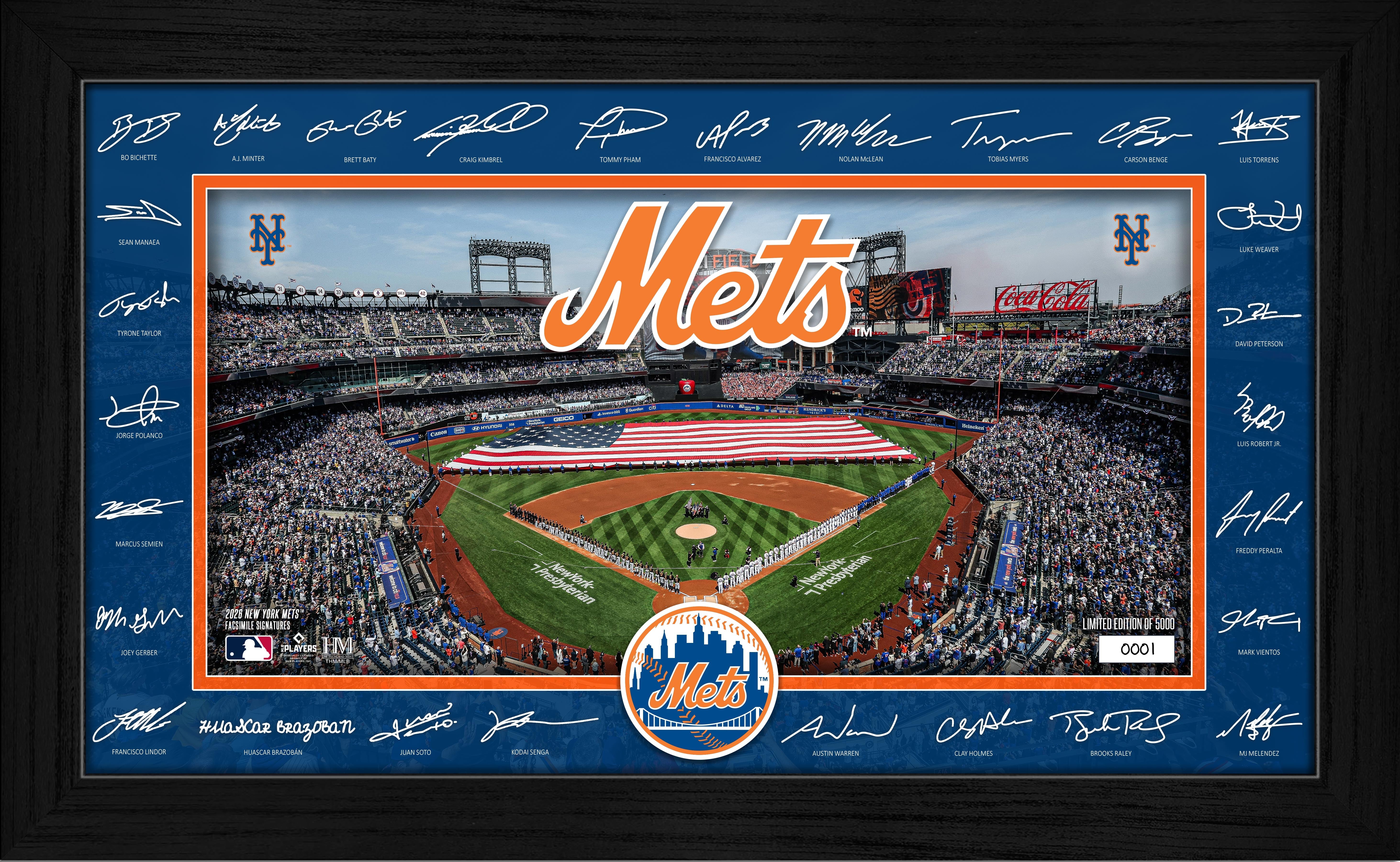 New York Mets 2026 Signature Field Frame
