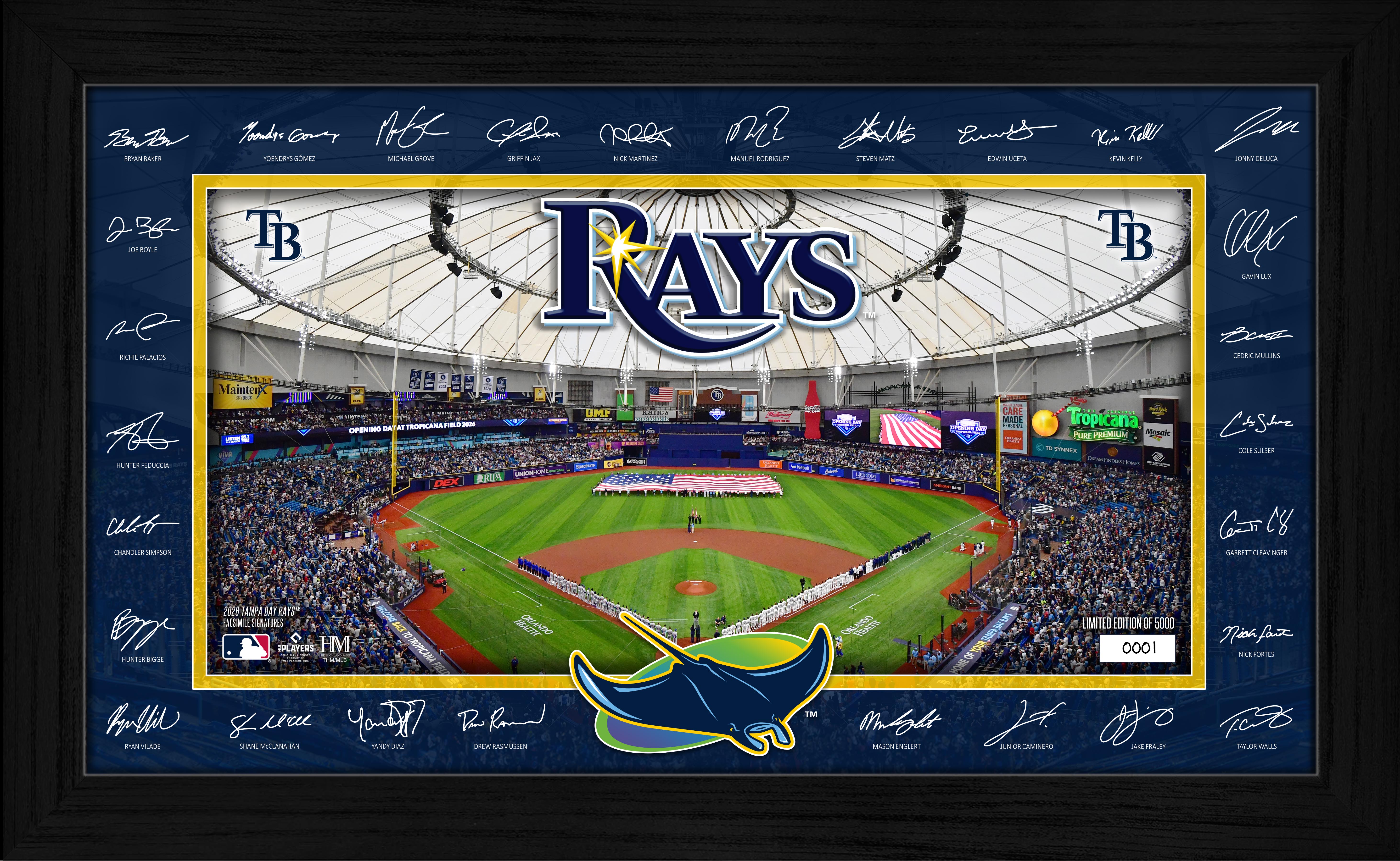 Tampa Bay Rays 2026 Signature Field Frame