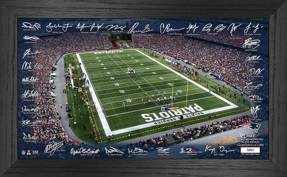 New England Patriots 2023 NFL Signature Gridiron