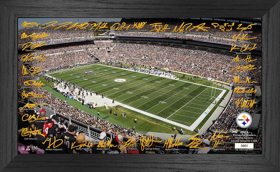 Pittsburgh Steelers 2023 NFL Signature Gridiron