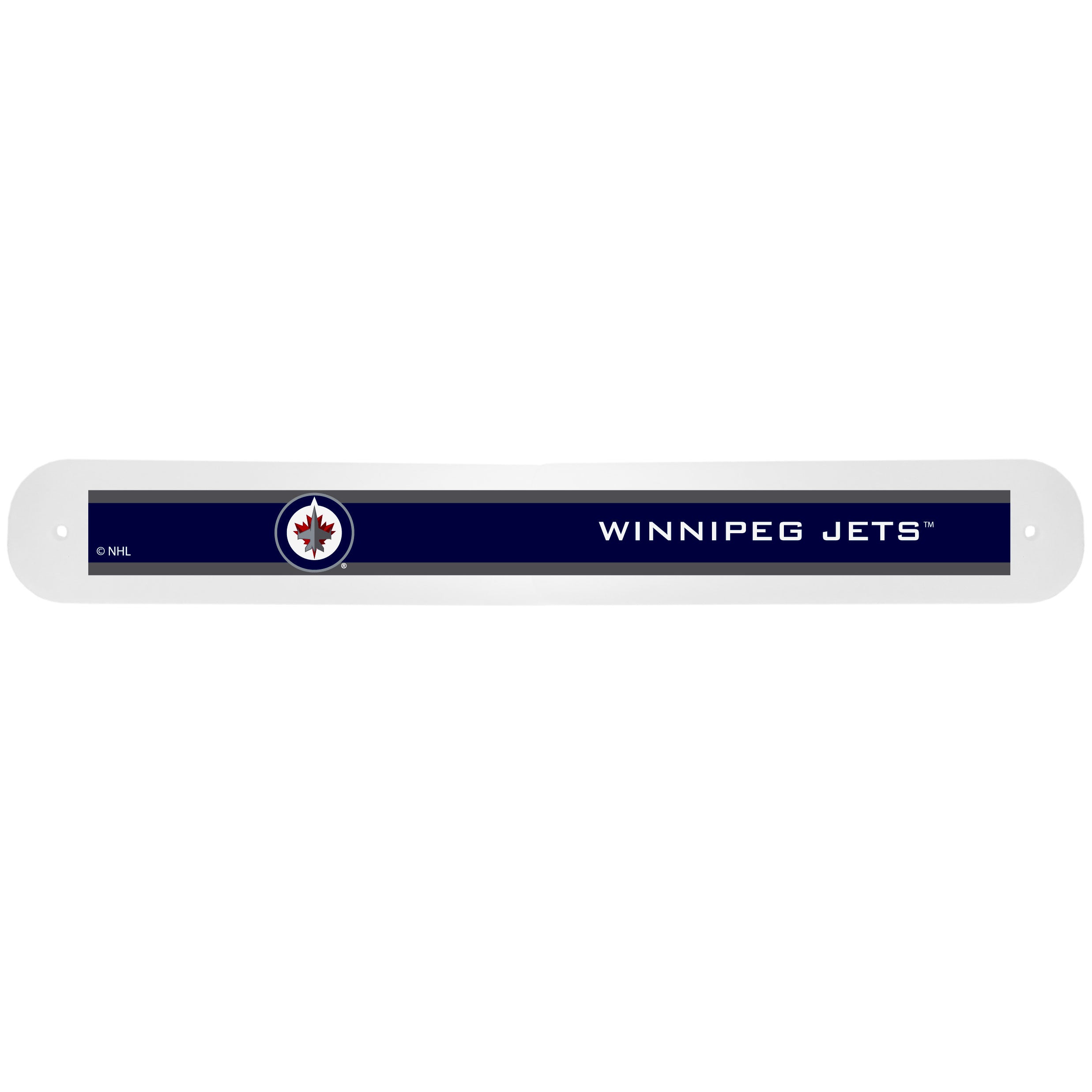 Winnipeg Jets??? Travel Toothbrush Case