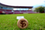 Florida State Cutting Boards | Choose Your Size & Style - Sports Collectibles, Sports Memorabilia, Sports Fan Shop, Sports Gifts