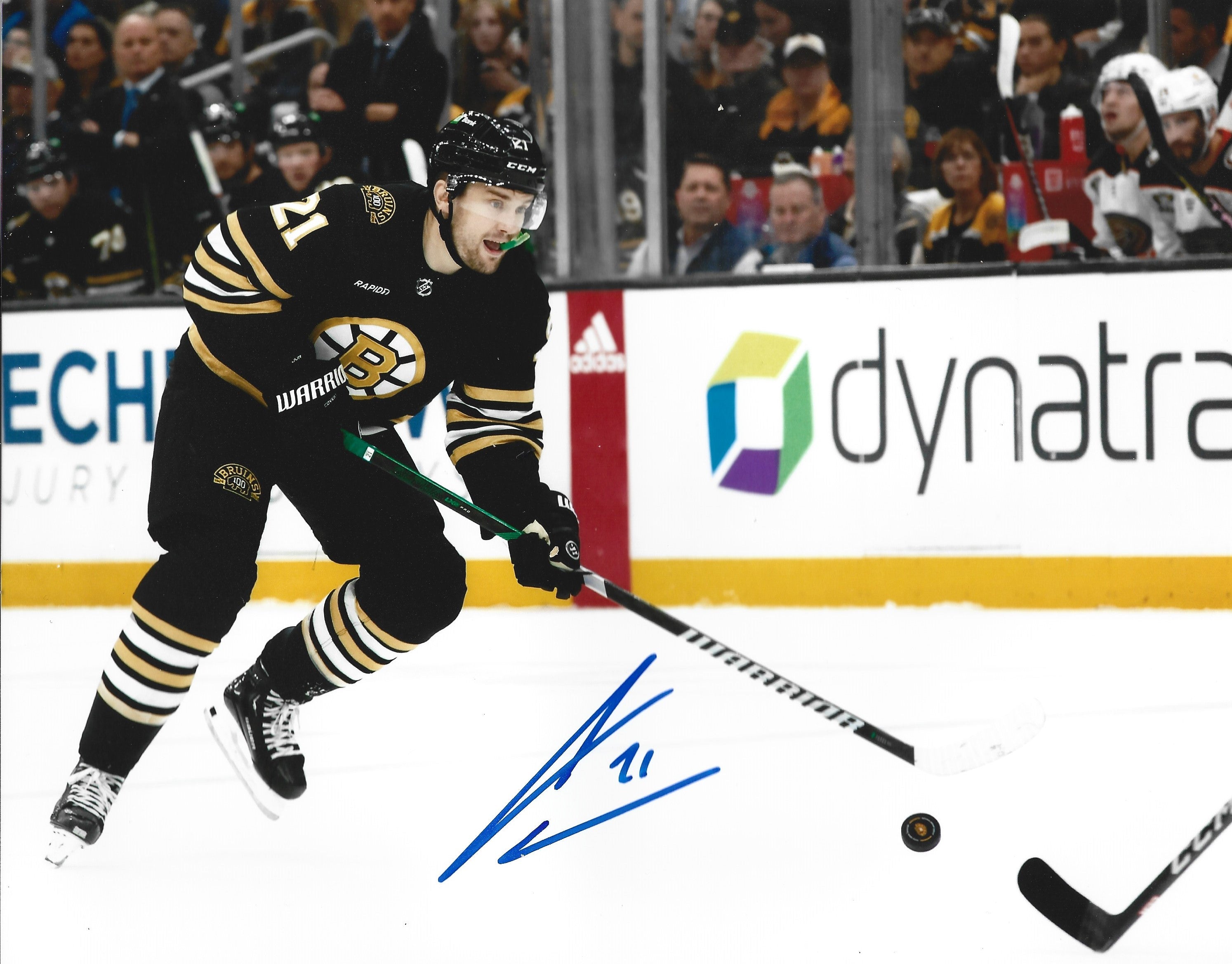 James Van Riemsdyk Skating Action Autographed Boston Bruins 11" x 14" Hockey Photo - Sports Collectibles, Sports Memorabilia, Sports Fan Shop, Sports Gifts