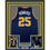 Framed Autographed/Signed Juwan Howard 35x39 Michigan Blue College Basketball Jersey Beckett BAS COA
