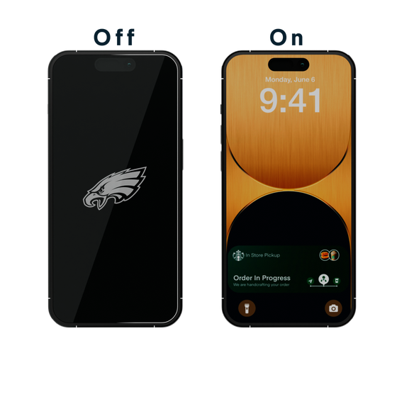 Philadelphia Eagles Etched Privacy Screen Protector-9