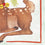 Seasons Greetings Applique Garden Flag