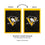 Pittsburgh Penguins Applique Flag