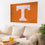 University of Tennessee Single Sided Estate Flag with 2 Grommets, 3'x5'
