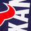 Houston Texans Embellished Garden Flag