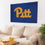 University of Pittsburgh Single Sided Estate Flag with 2 Grommets, 3'x5'