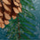 Winter Pine Cone Suede Garden Flag - Sports Gifts, Sports Memorabilia, Sports Collectibles, Fan Shop